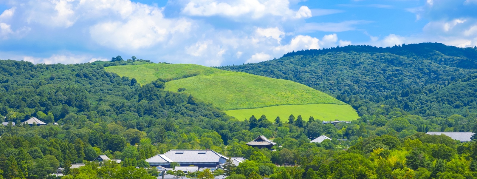 奈良を象徴する若草山
